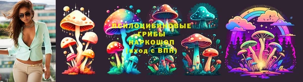 индика Мегион
